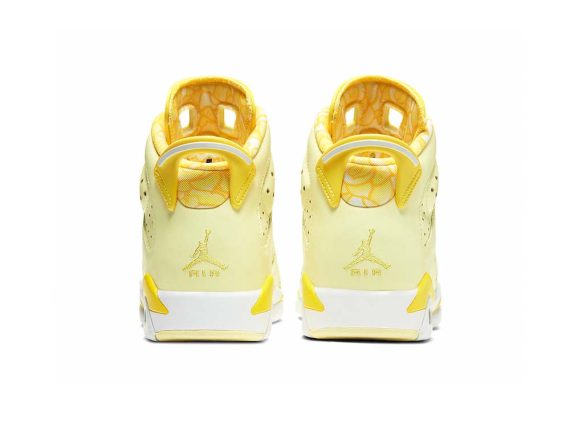Jordan Air Jordan 6 GS “Floral”