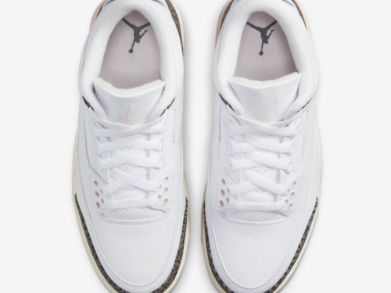 Air Jordan 3 WMNS Neapolitan