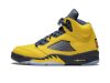 Jordan Air Jordan 5 Retro SE “Michigan”
