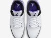 Air Jordan 3 Dark Iris