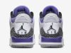 Air Jordan 3 Dark Iris