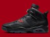 Air Jordan 6 Premio BIN 23