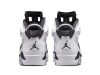 Air Jordan 6 Oreo