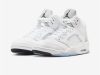 Air Jordan 5 White Metallic