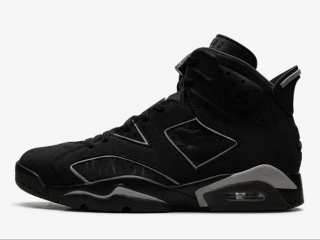 Air Jordan 6 Cap and Gown